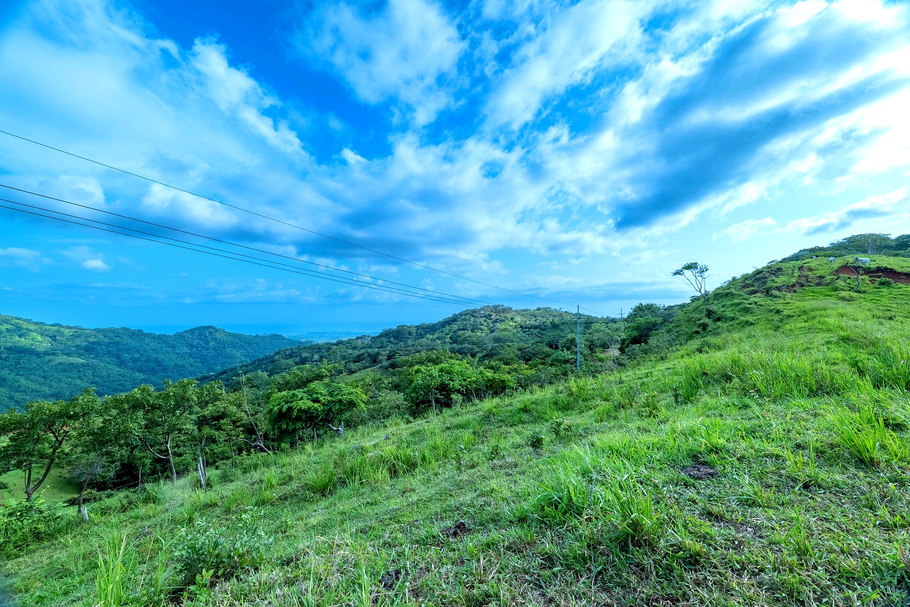 Finca 2 — ocean view