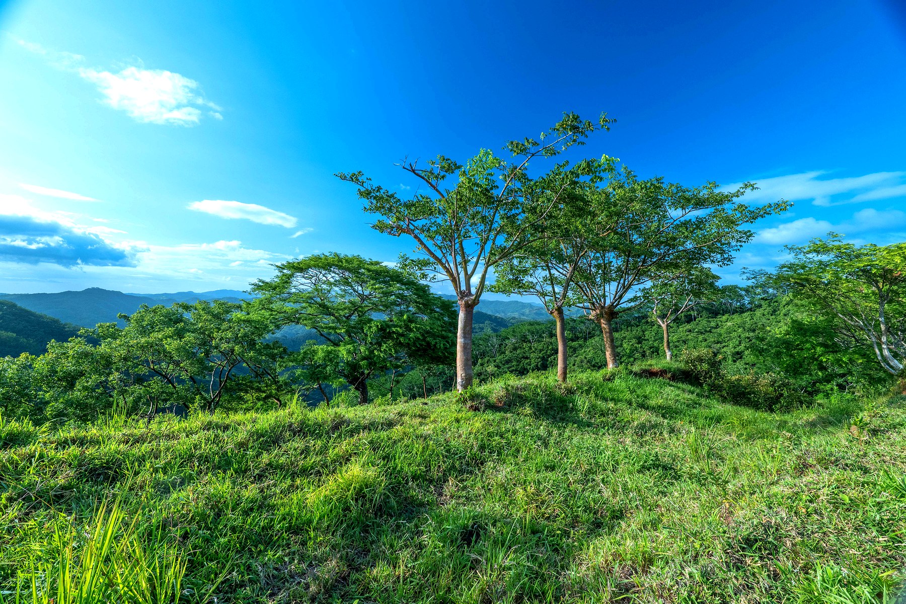 Finca Los Ángeles II — 20 hectares